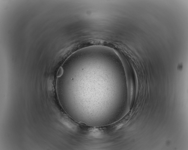 X0000094380616200711091603