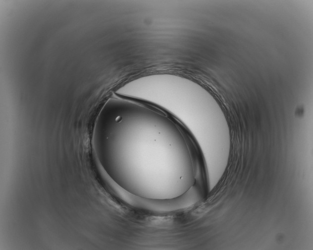X0000094380617200711091603