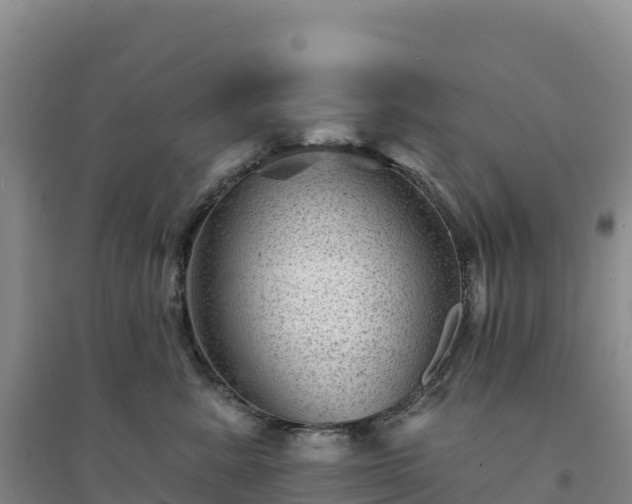 X0000094380619200711091602
