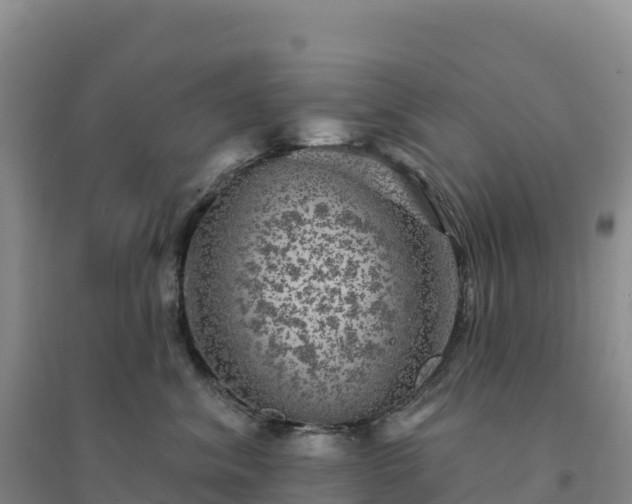 X0000094380620200711091602