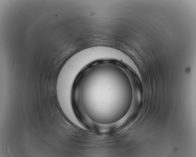X0000094380621200711091602