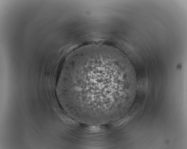 X0000094380623200711091602