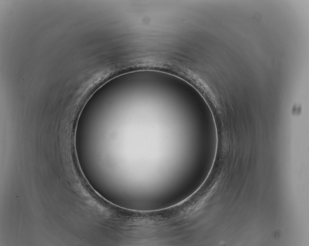 X0000094380625200711091602