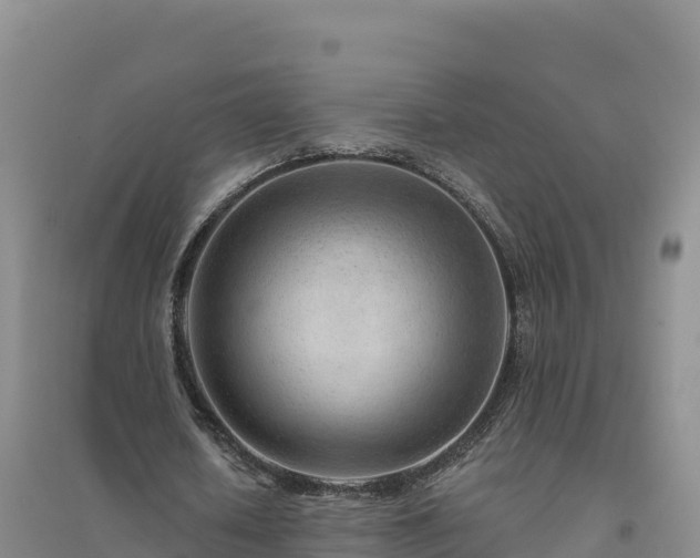 X0000094380626200711091602