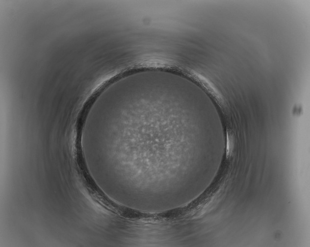 X0000094380627200711091602
