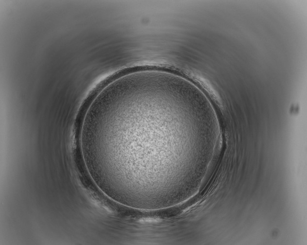 X0000094380628200711091602