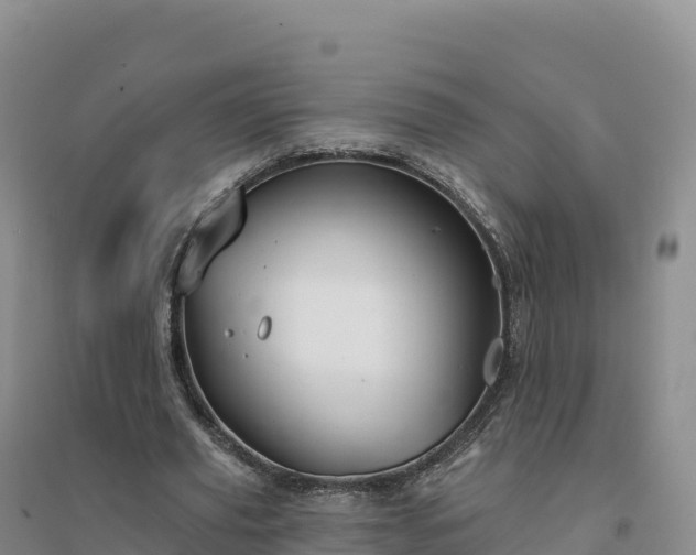 X0000094380629200711091602