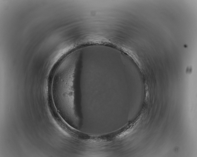 X0000094380630200711091602