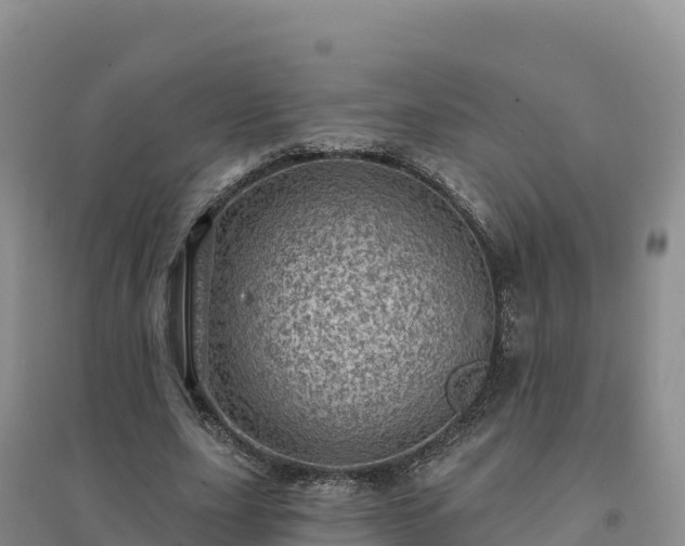 X0000094380631200711091602