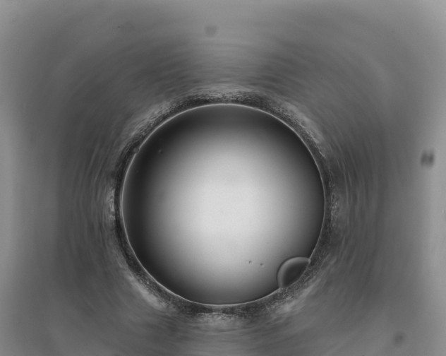 X0000094380633200711091602