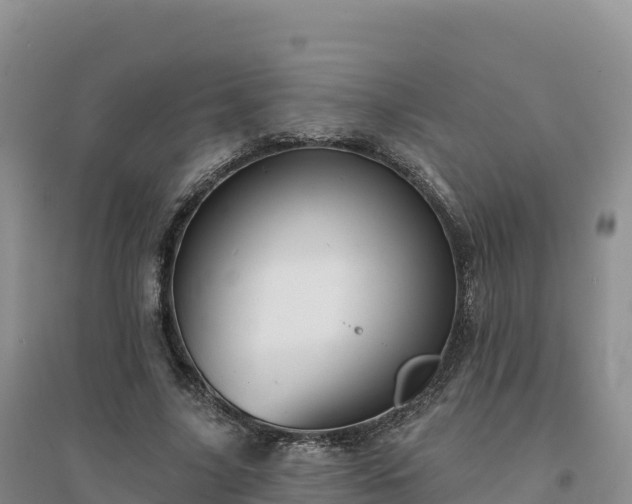 X0000094380635200711091602