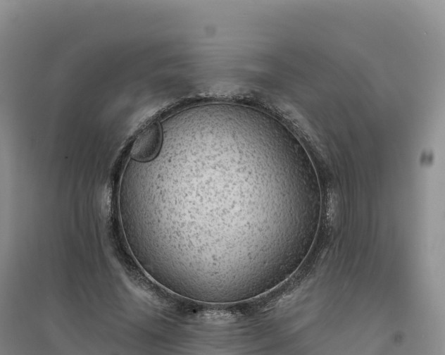 X0000094380636200711091602