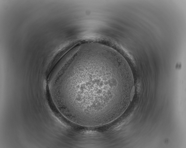 X0000094380637200711091602