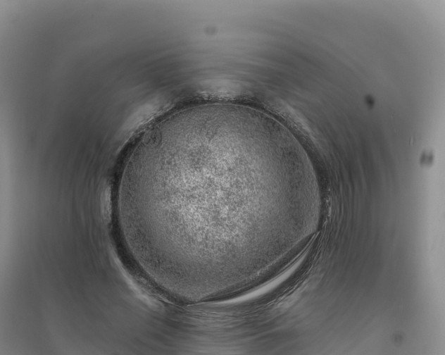 X0000094380638200711091602
