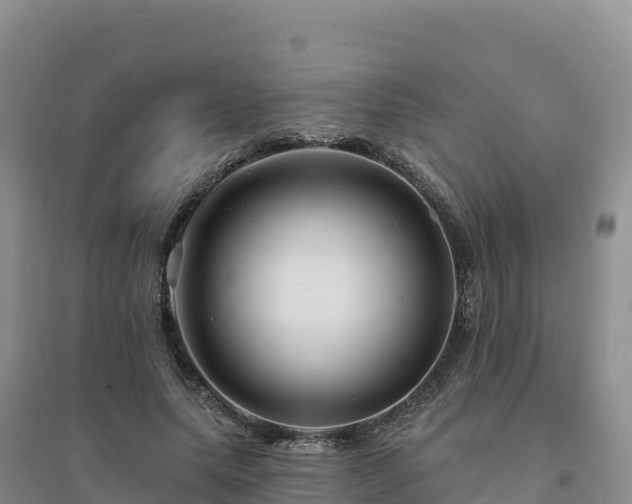 X0000094380639200711091602