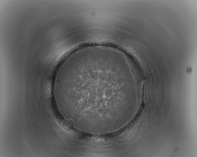X0000094380640200711091602