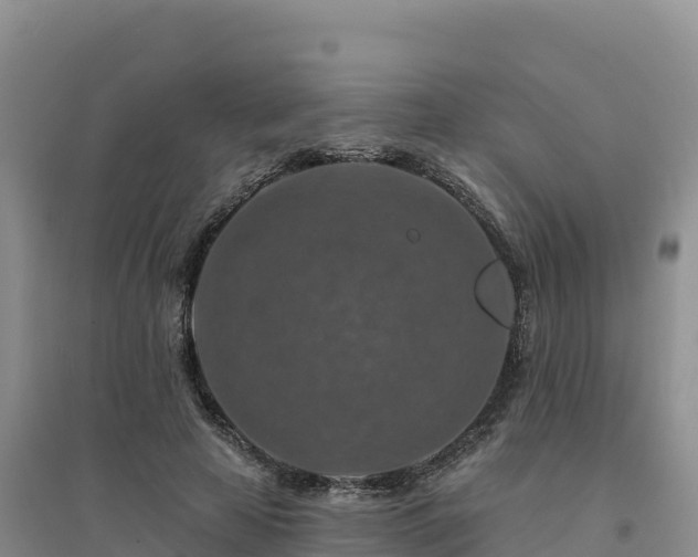 X0000094380641200711091602