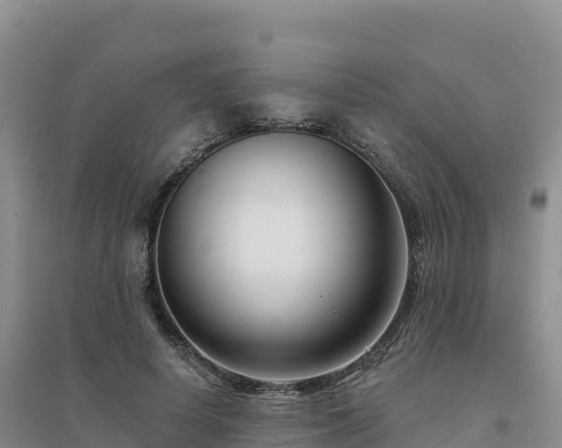 X0000094380642200711091602