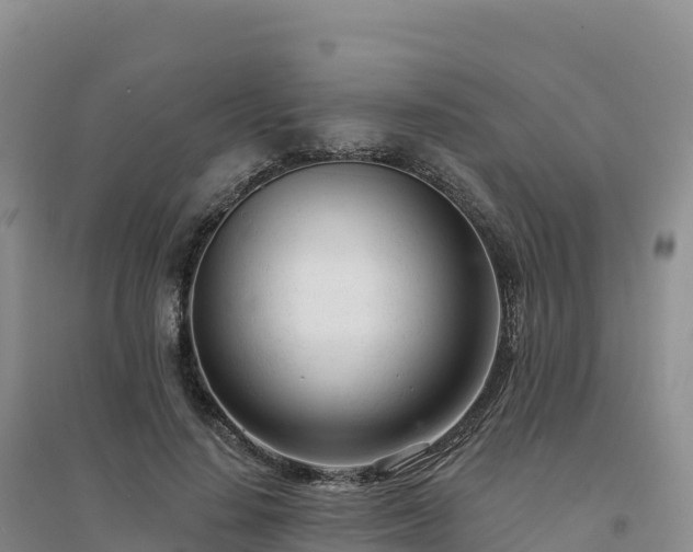 X0000094380644200711091602