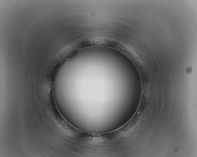 X0000094380645200711091602