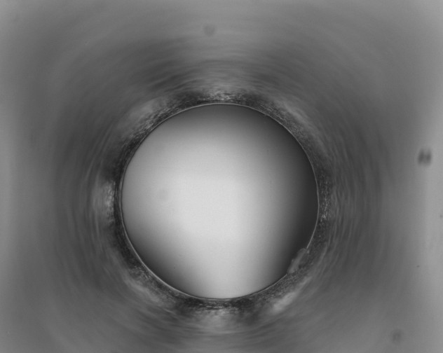 X0000094380646200711091602