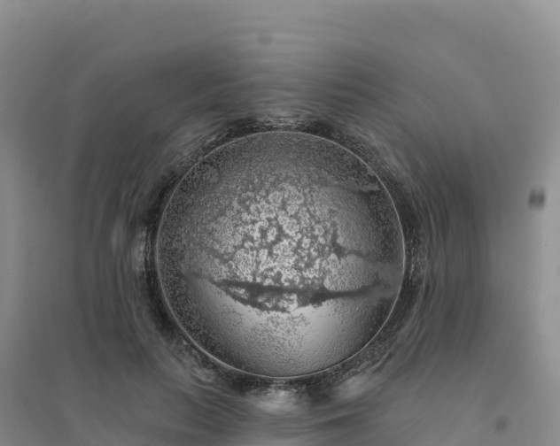X0000094380647200711091602