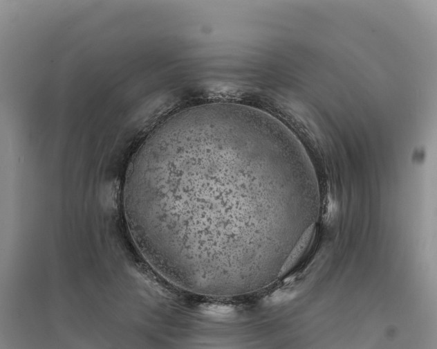 X0000094380649200711091602