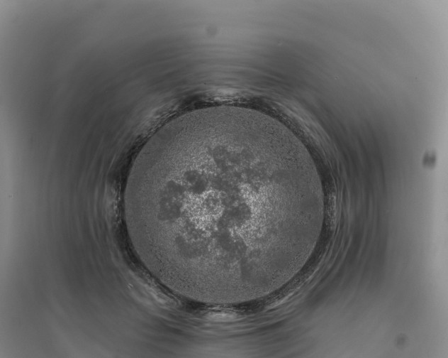 X0000094380653200711091602