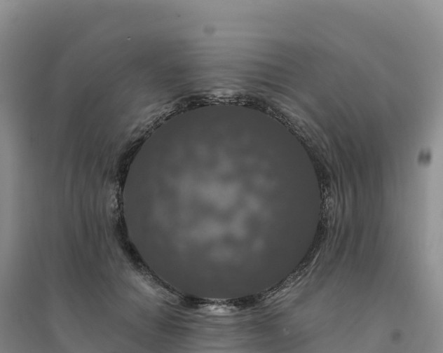 X0000094380654200711091602