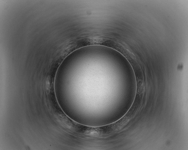 X0000094380655200711091602