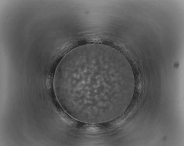 X0000094380658200711091602