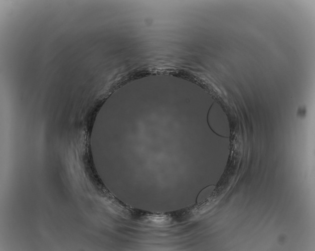X0000094380659200711091602