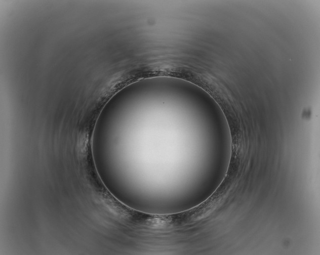 X0000094380660200711091602