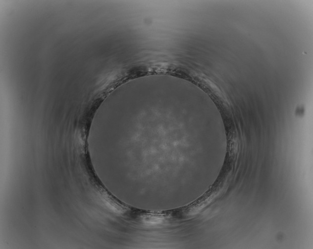 X0000094380661200711091602