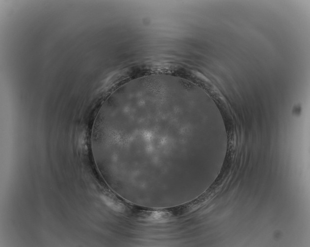 X0000094380663200711091602