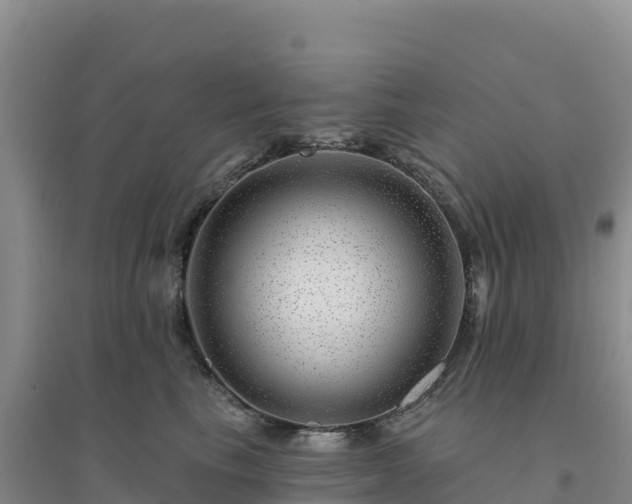 X0000094380665200711091602