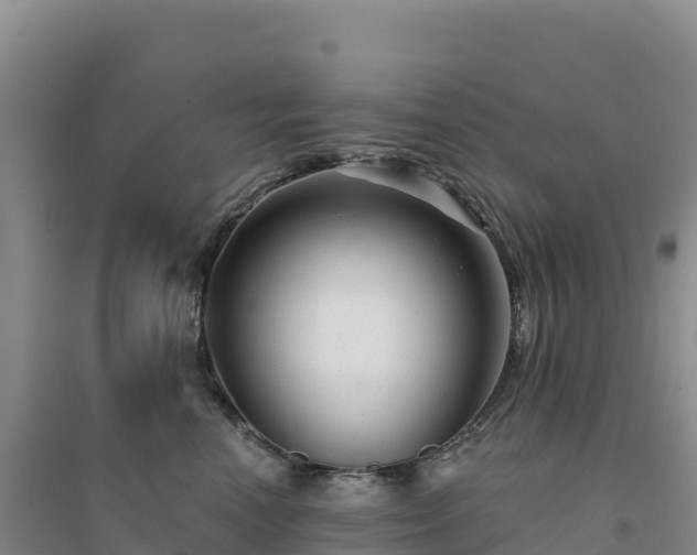 X0000094380666200711091602