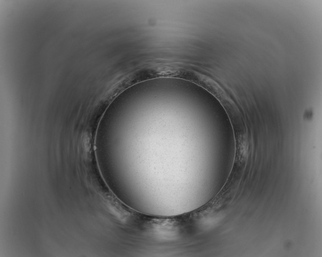 X0000094380667200711091602