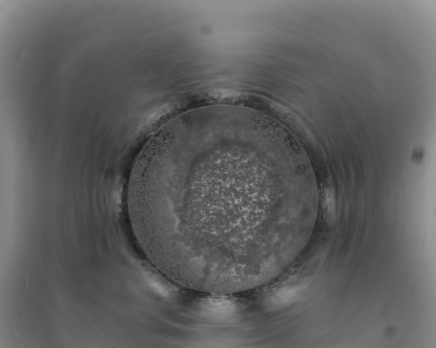 X0000094380668200711091602