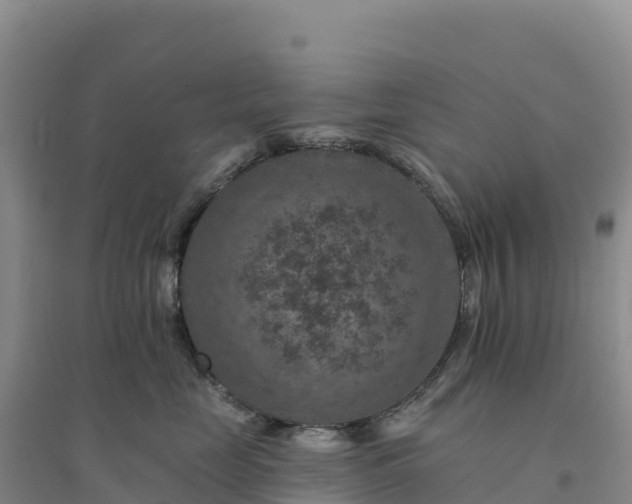 X0000094380669200711091602