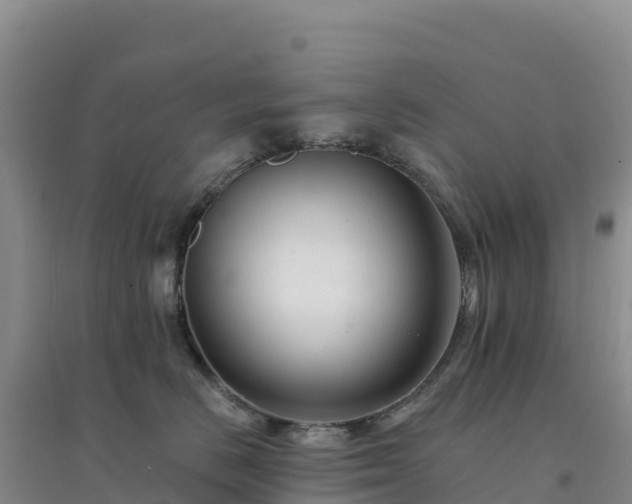 X0000094380670200711091602