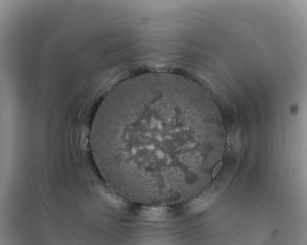 X0000094380671200711091602