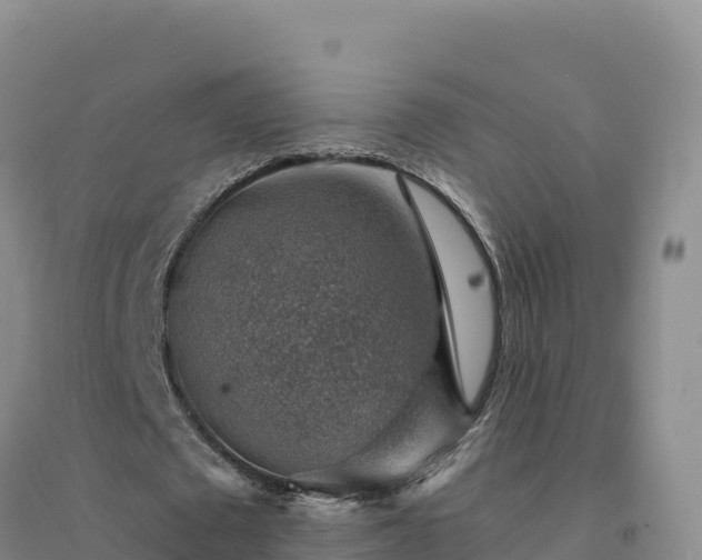 X0000094380673200711091602