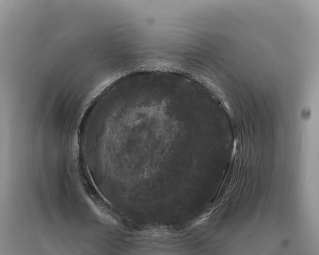X0000094380674200711091602