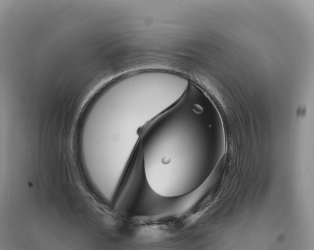 X0000094380676200711091602