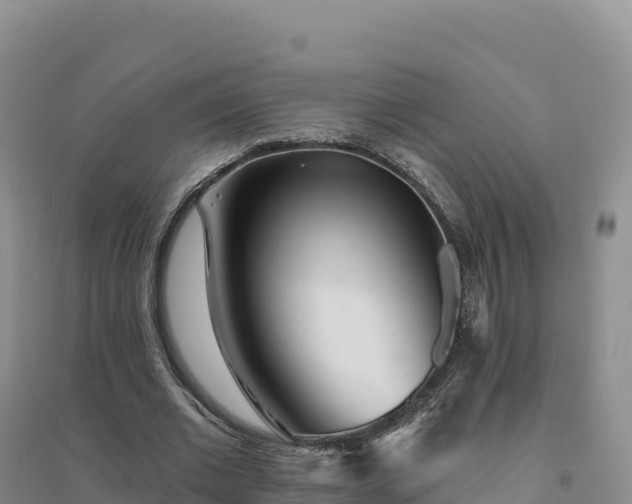 X0000094380677200711091602