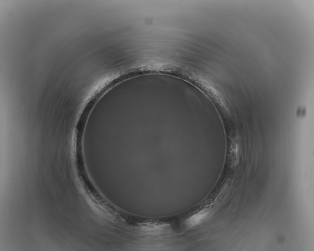 X0000094380678200711091602