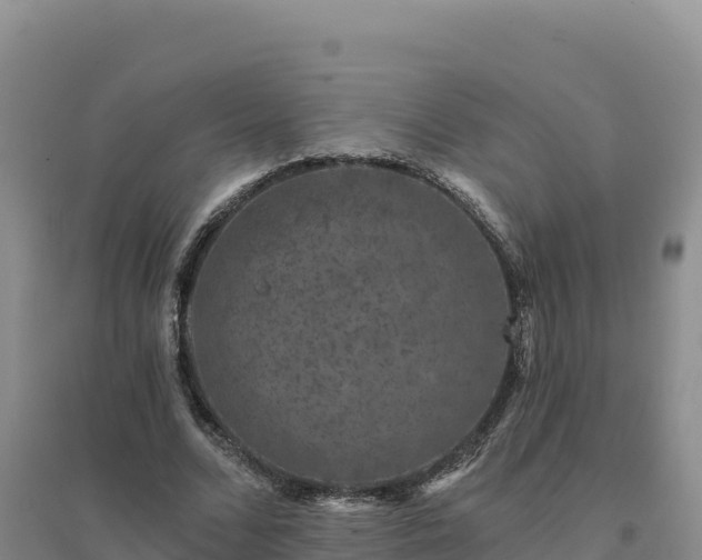 X0000094380680200711091602