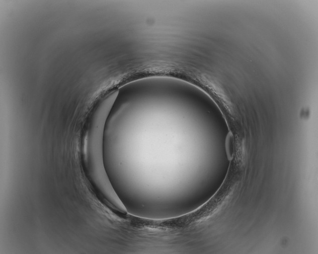 X0000094380681200711091602