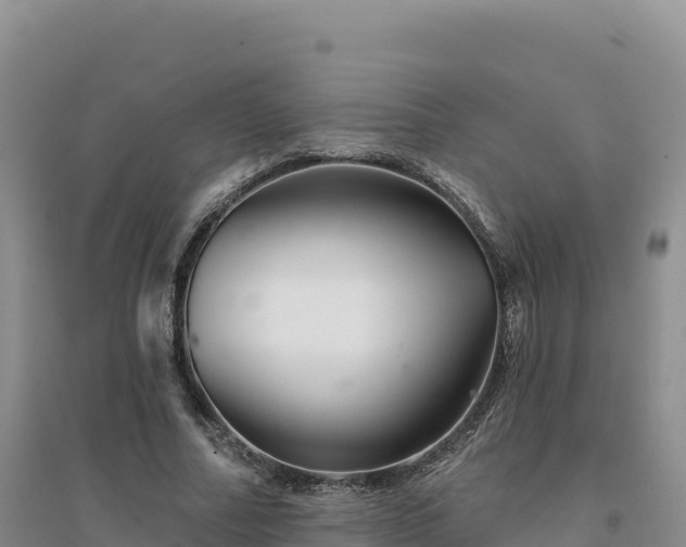 X0000094380682200711091602